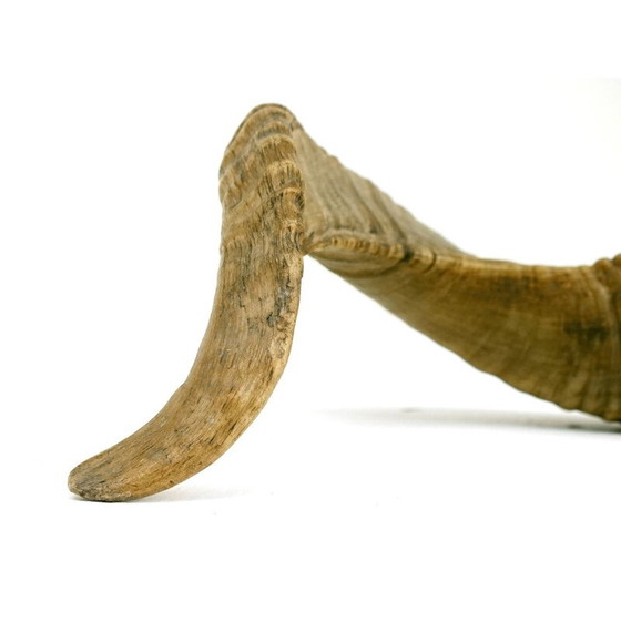 Image 1 of Accendino vintage Carl Aubock, corno Ronson 1970