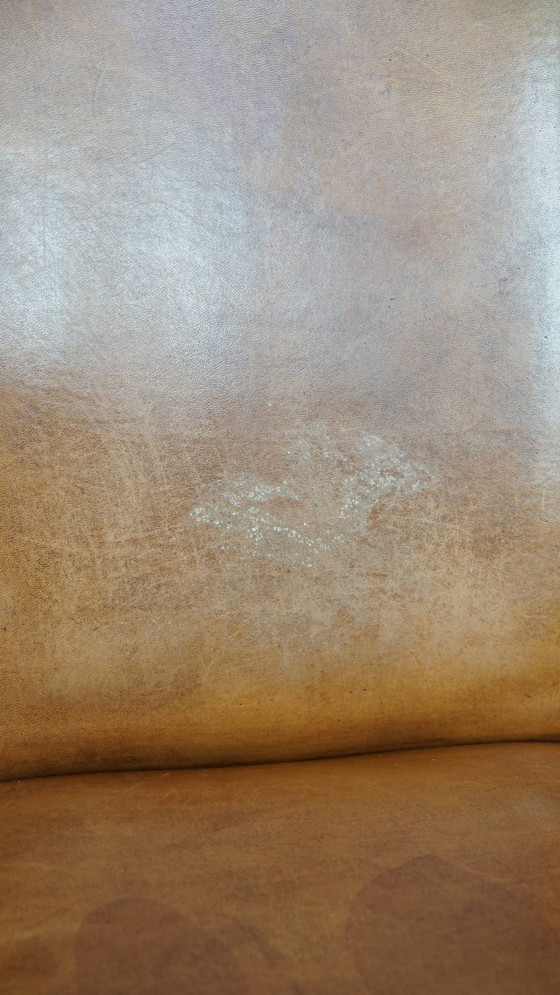 Image 1 of 4 sedie da pranzo in pelle di pecora