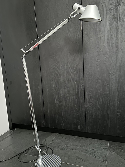 Artimide Tolomeo floor lamp