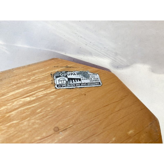 Image 1 of Cubo de hielo de mediados de siglo de Aldo Tura, Italia, década de 1960