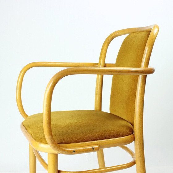 Image 1 of Vintage armchair in bentwood and gold velvet fabric for Ton, Czechoslovakia 1930