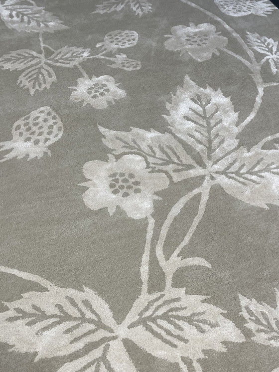 Image 1 of Brink & Campman Tapis Wedgwood Wild Strawberry