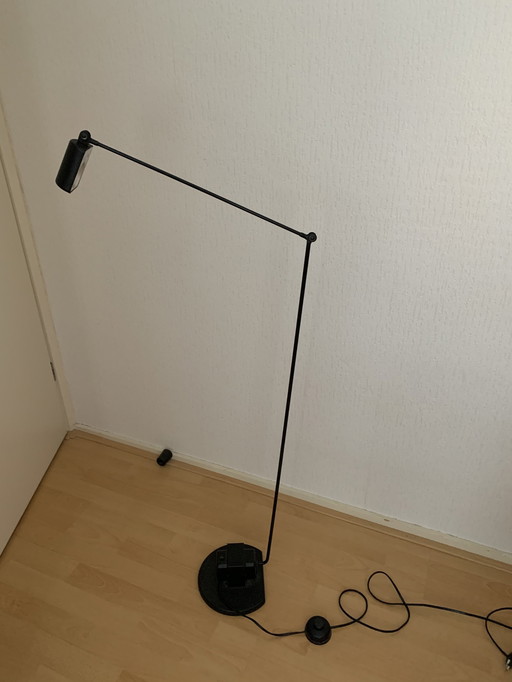 Daphine Terra Floor Lamp Black