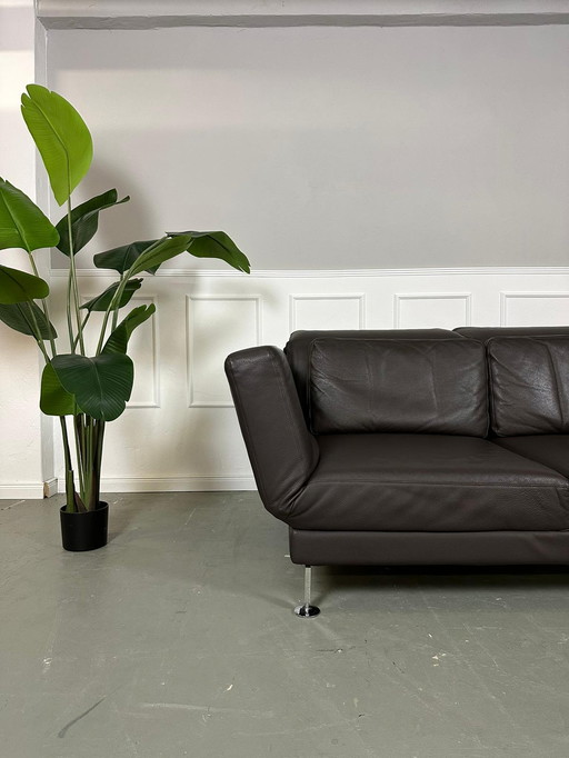 Brühl Moule Designer Sofa Leather Brown Couch