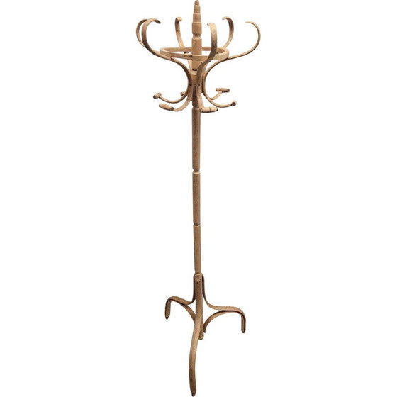 Image 1 of Vintage coat rack in sprayed beech wood for Thonet