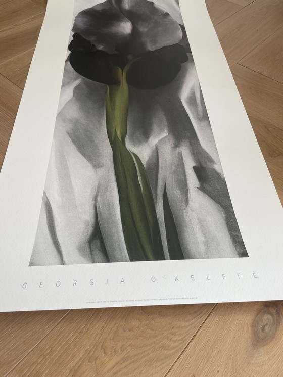 Image 1 of G. O’Keeffe (1887-1986), Dark Iris I, 1927, Copyright 1999- G.O’Keeffe/Sofam Belgique Editions  Pierre D’ Harville,