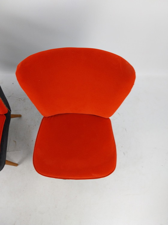 Image 1 of 2 x cocktail chairs new upholstery in top condition. 1950S