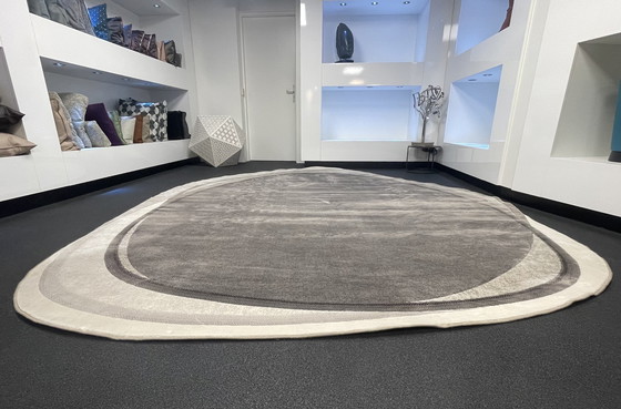 Image 1 of Leolux Pode Shallow Carpet 280 X 380 Showroom model