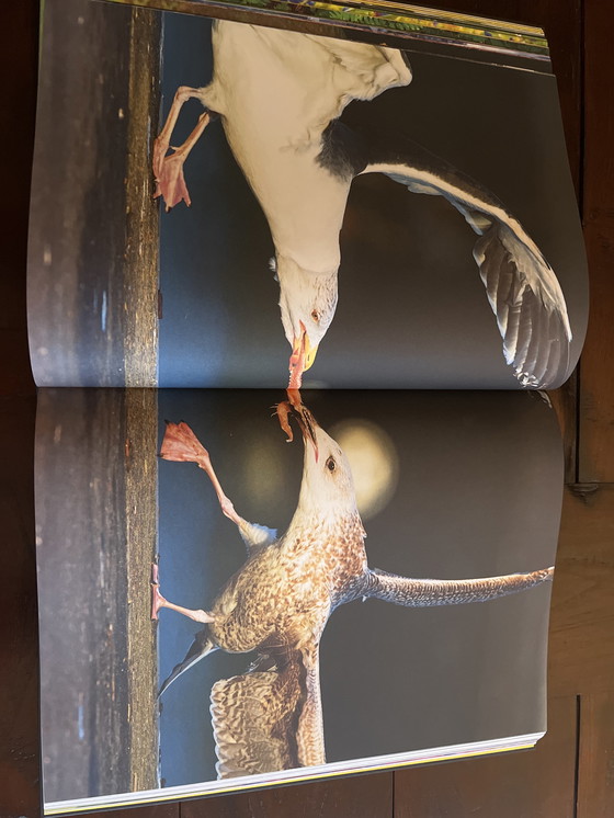 Image 1 of Jan Smink and Ruurd Jelle van der Ley Coffee table book