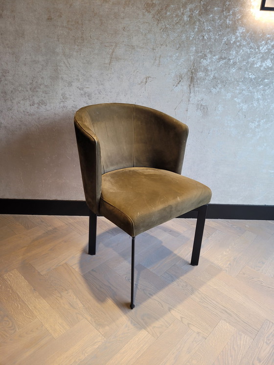 Image 1 of Chaise de salle à manger Hofstede Raanhuis C-SHARP