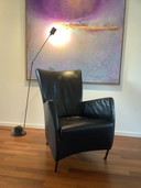 2 fauteuils Montis Windy