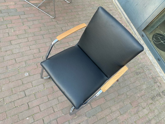 Image 1 of Silla Leolux Freyr