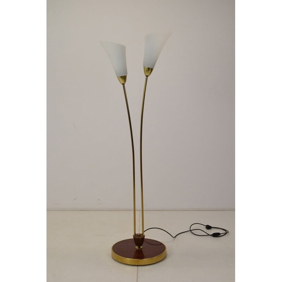 Image 1 of Vintage art deco brass and opal glass floor lamp, Czechoslovakia 1940