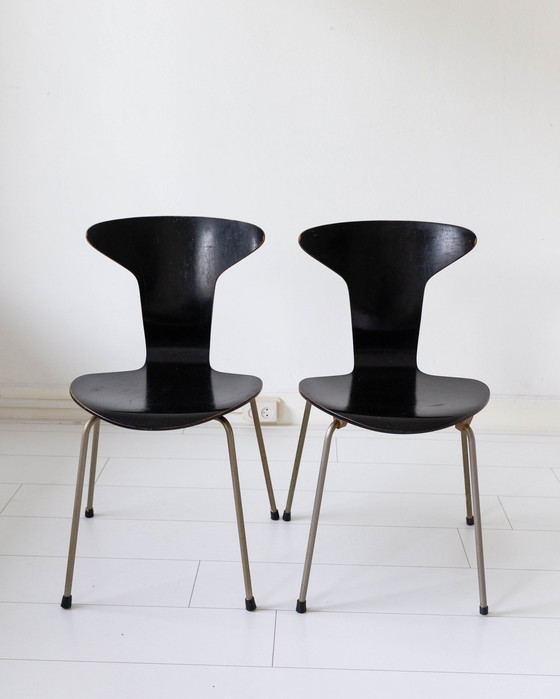 Image 1 of Set Of Two Arne Jacobsen Mosquito Dining Chairs