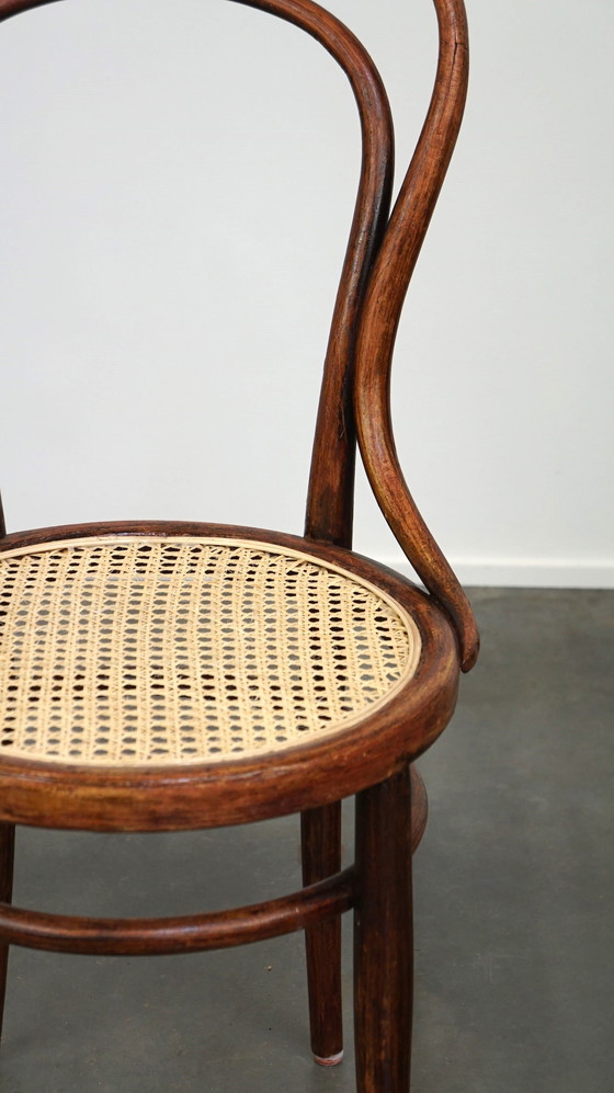 Image 1 of Chaise de bistrot Thonet originale n° 14