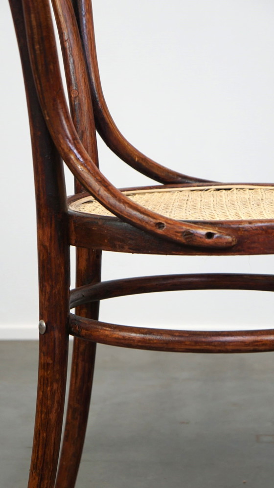 Image 1 of Chaise de bistrot Thonet originale n° 14