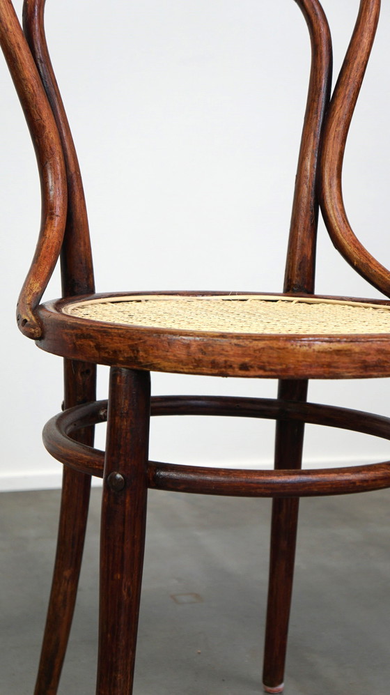 Image 1 of Chaise de bistrot Thonet originale n° 14