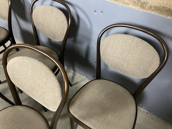 Image 1 of 6x Thonet 215 chairs bentwood