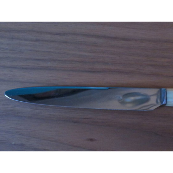 Image 1 of Set of 10 vintage knives in resin with ceramic vase, France 1950