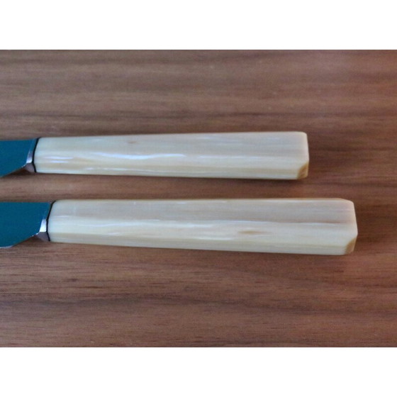 Image 1 of Set of 10 vintage knives in resin with ceramic vase, France 1950