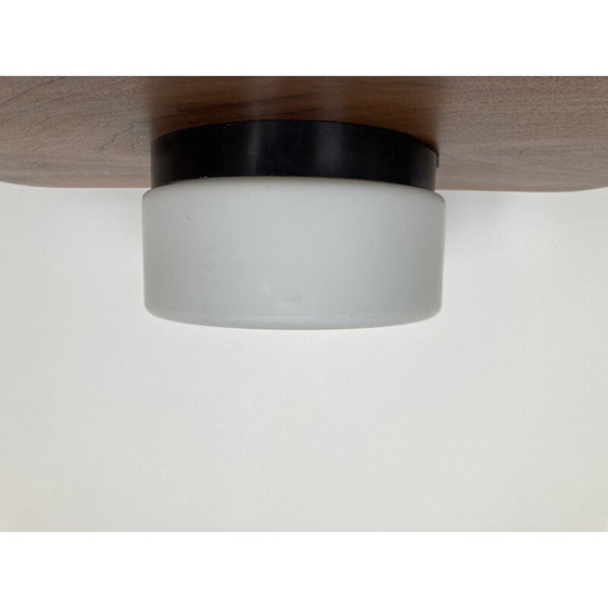 Image 1 of Pair of vintage ceiling lights in bakelite, Czechoslovakia 1970