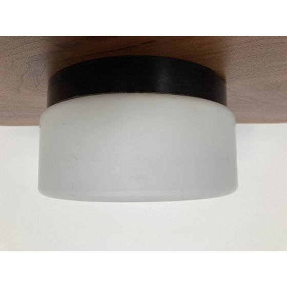 Image 1 of Pair of vintage ceiling lights in bakelite, Czechoslovakia 1970