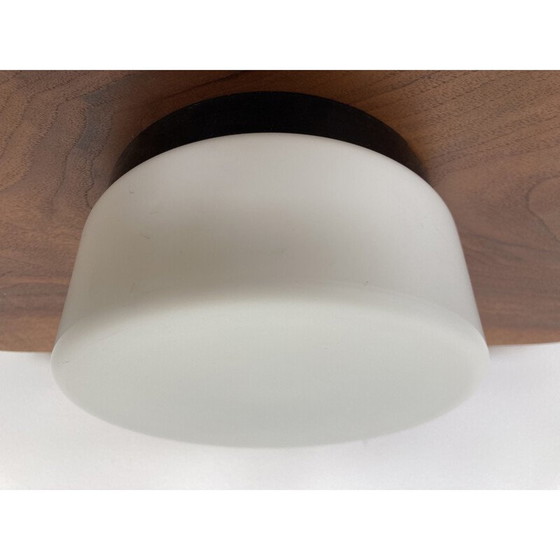 Image 1 of Pair of vintage ceiling lights in bakelite, Czechoslovakia 1970