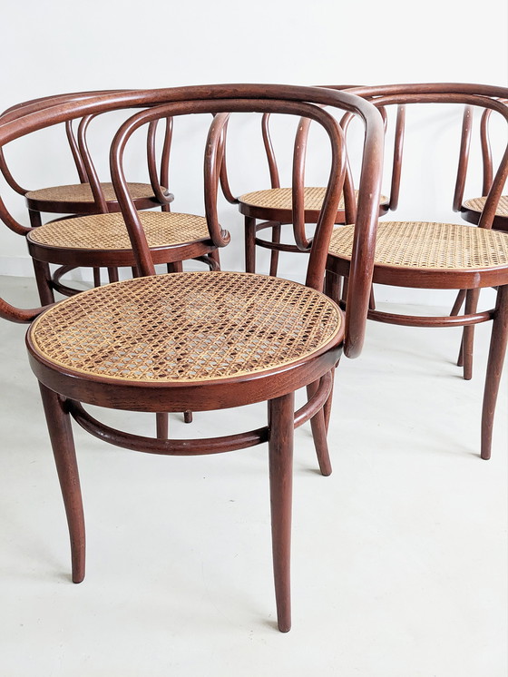 Image 1 of 6x 'no. 209' Dining Chairs by Thonet 1980's