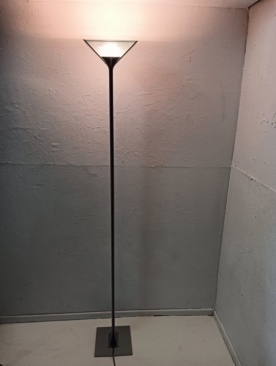 Image 1 of Design Floor Lamp Flos Papillona, Dimmable