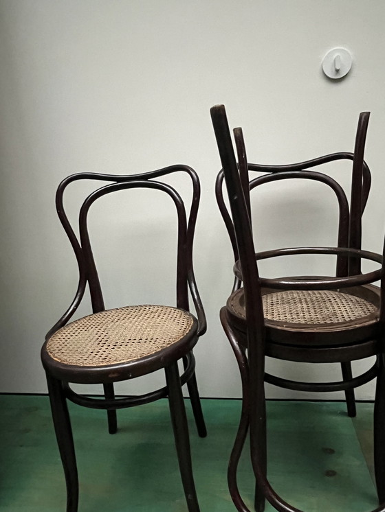 Image 1 of Sedie di Thonet e Kohn