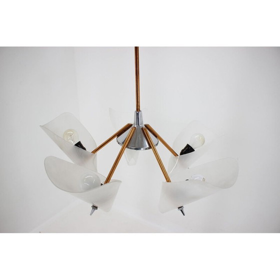 Image 1 of Vintage brass and plastic chandelier by Drukov, Czechoslovakia 1960