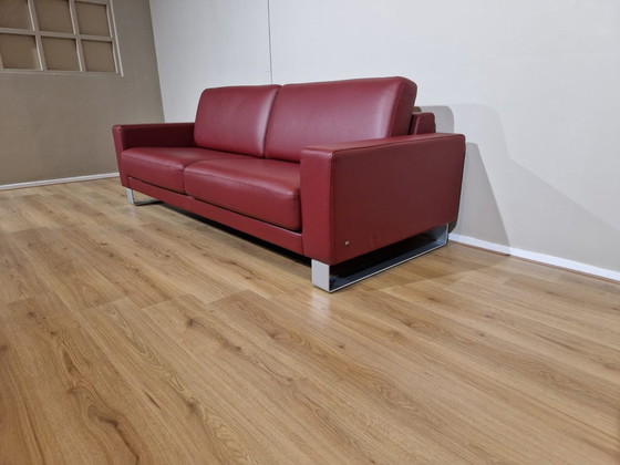 Image 1 of Rolf Benz Ego - 3 Seater - Bordeaux - Leather - Showroom Condition