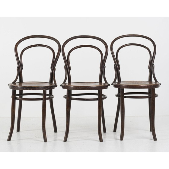 Image 1 of Set of 3 vintage bentwood chairs from Mundus Vienna Austria, 1920s