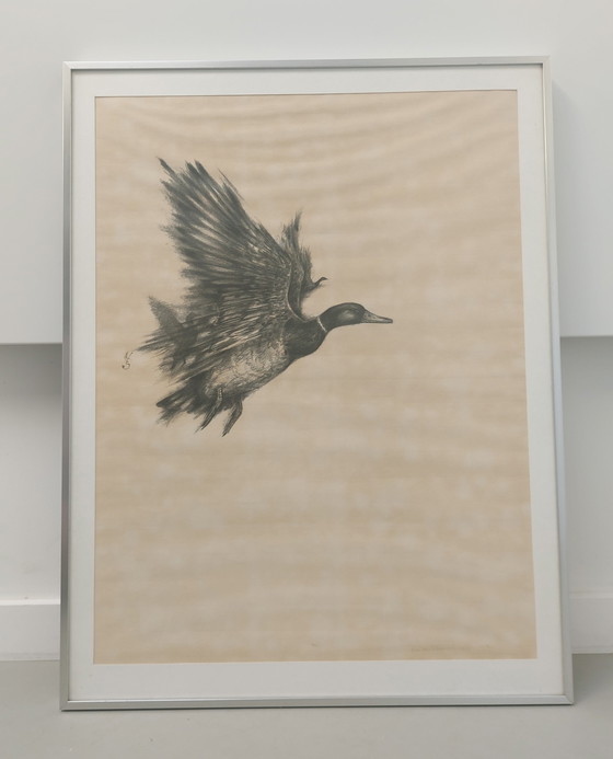 Image 1 of Kees van Scherpenzeel - Lithograph Duck