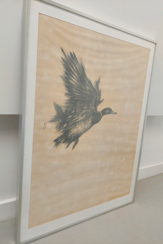 Image 1 of Kees van Scherpenzeel - Lithograph Duck