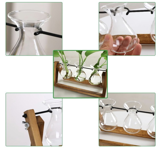 Image 1 of Glass Vase For Hydroponic Plants