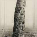 Ralph Janowski - Photo print