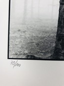 Ralph Janowski - Photo print