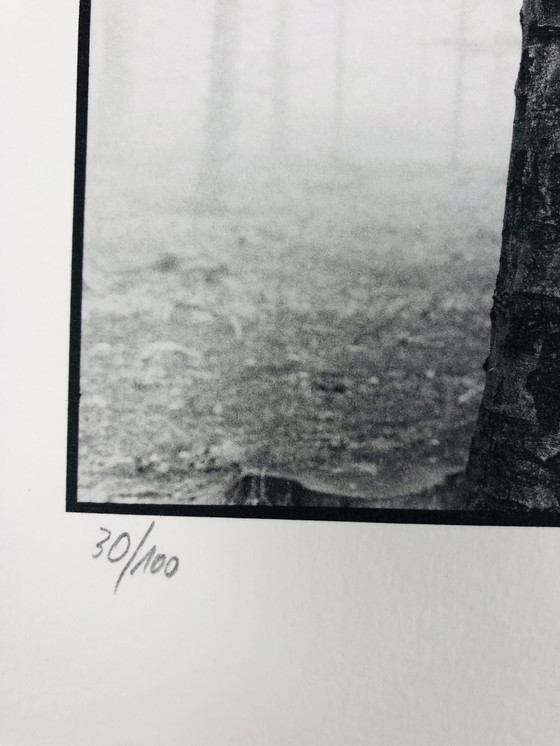 Image 1 of Ralph Janowski - Photo print