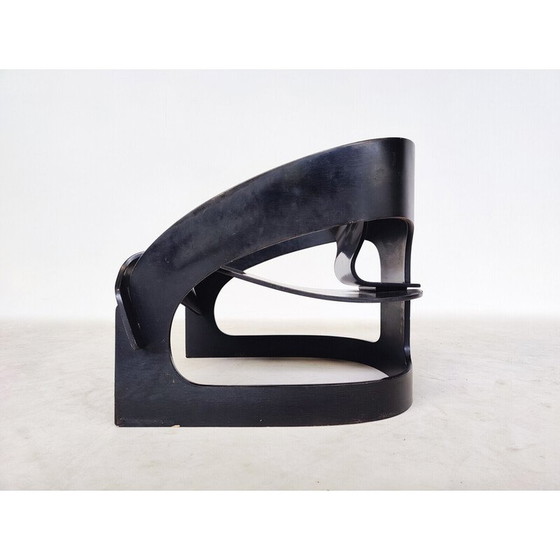 Image 1 of Mid-century wooden armchair model 4801 by Joe Colombo for Kartell, 1960s