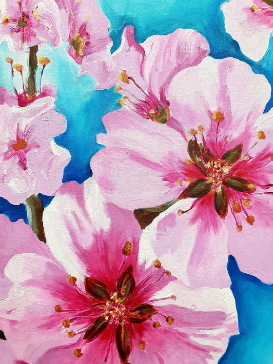 Image 1 of Japanese ornamental cherry, henk Stemerdink