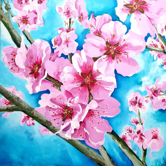 Image 1 of Japanese ornamental cherry, henk Stemerdink