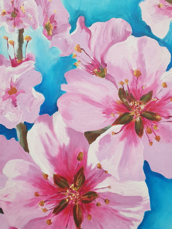 Image 1 of Japanese ornamental cherry, henk Stemerdink