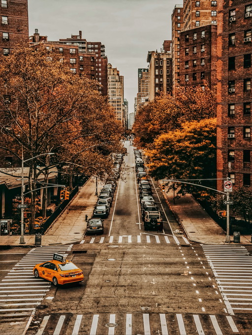 Fabian Kimmel- Autumn Streets of New York II