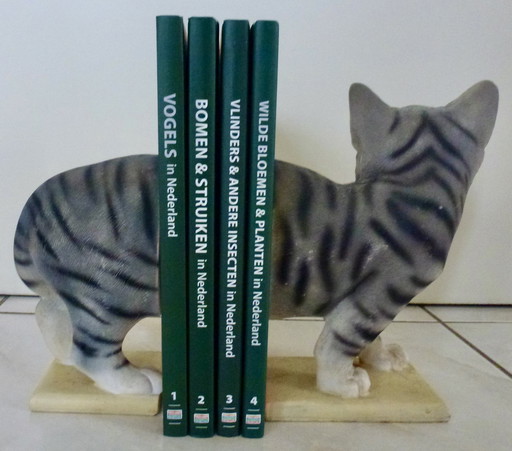 Beautifully Drawn Cat As Bookends.