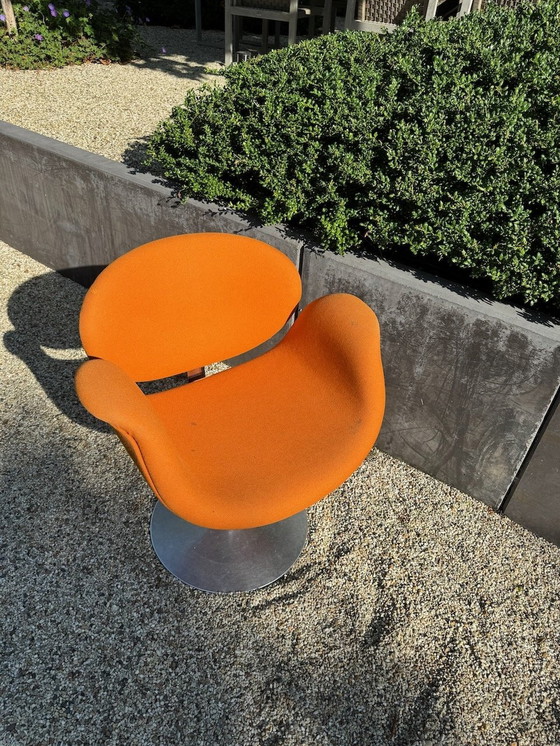 Image 1 of Artifort Little Tulip Swivel Chair Orange