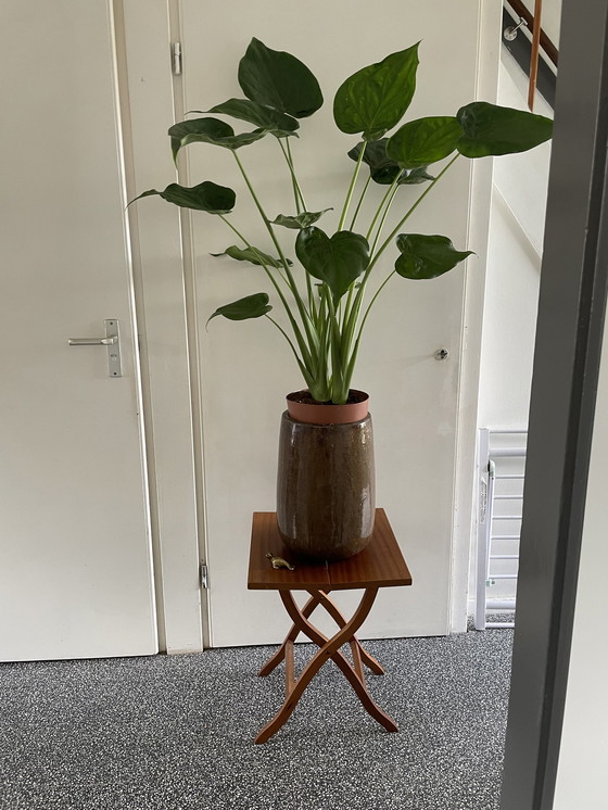 Image 1 of Table d'appoint/plante en bois vintage