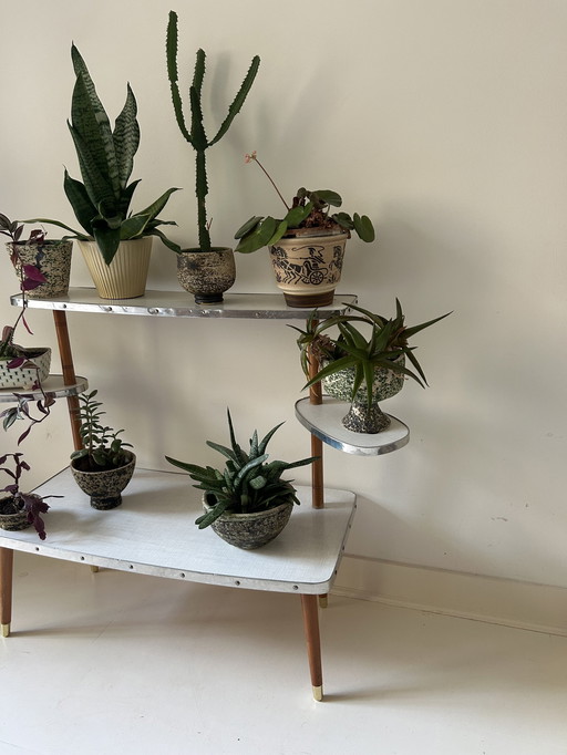 Plant Table