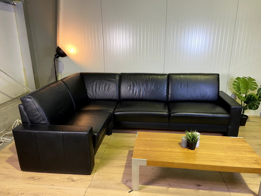 Leather sofa Geparde sofa bed