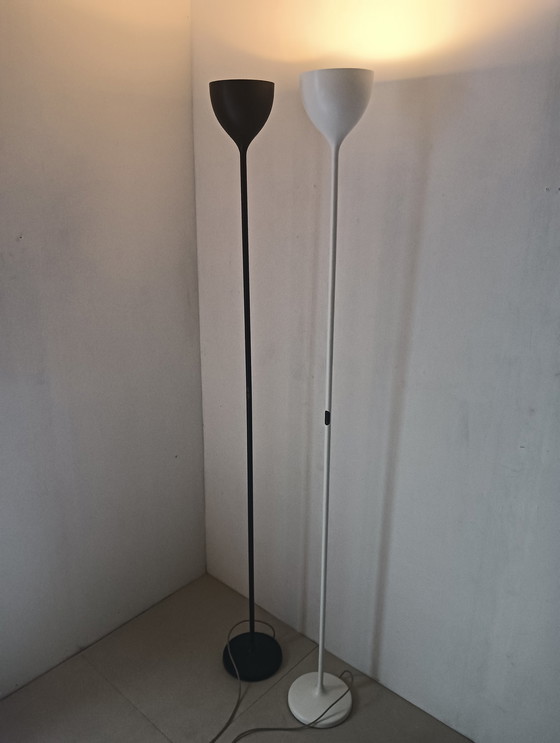 Image 1 of Rotaliana drink f1 floor lamps